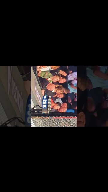 Dana White and Mark Wahlberg react at UFC 279