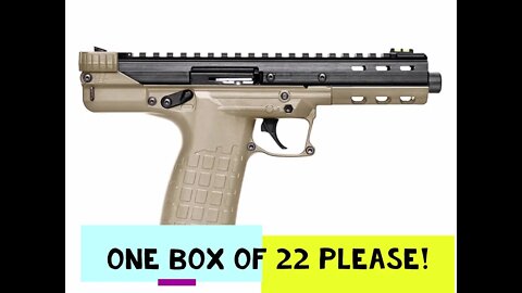 kel tec CP 33