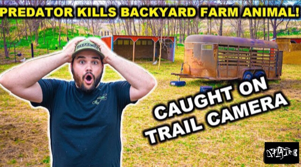 We’ve got our first DEATH on the new BACKYARD FARM. (This is war)