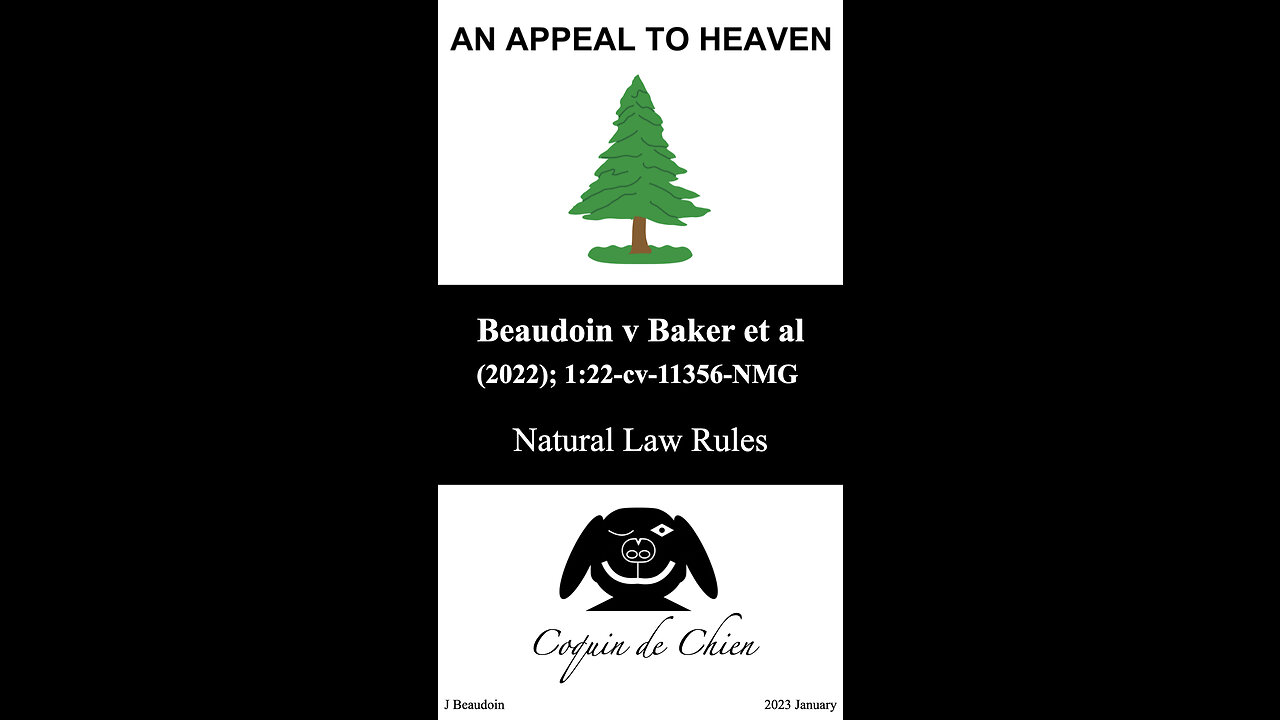 Vexine Veritas - Vid 2 - covid death count fraud - John Beaudoin