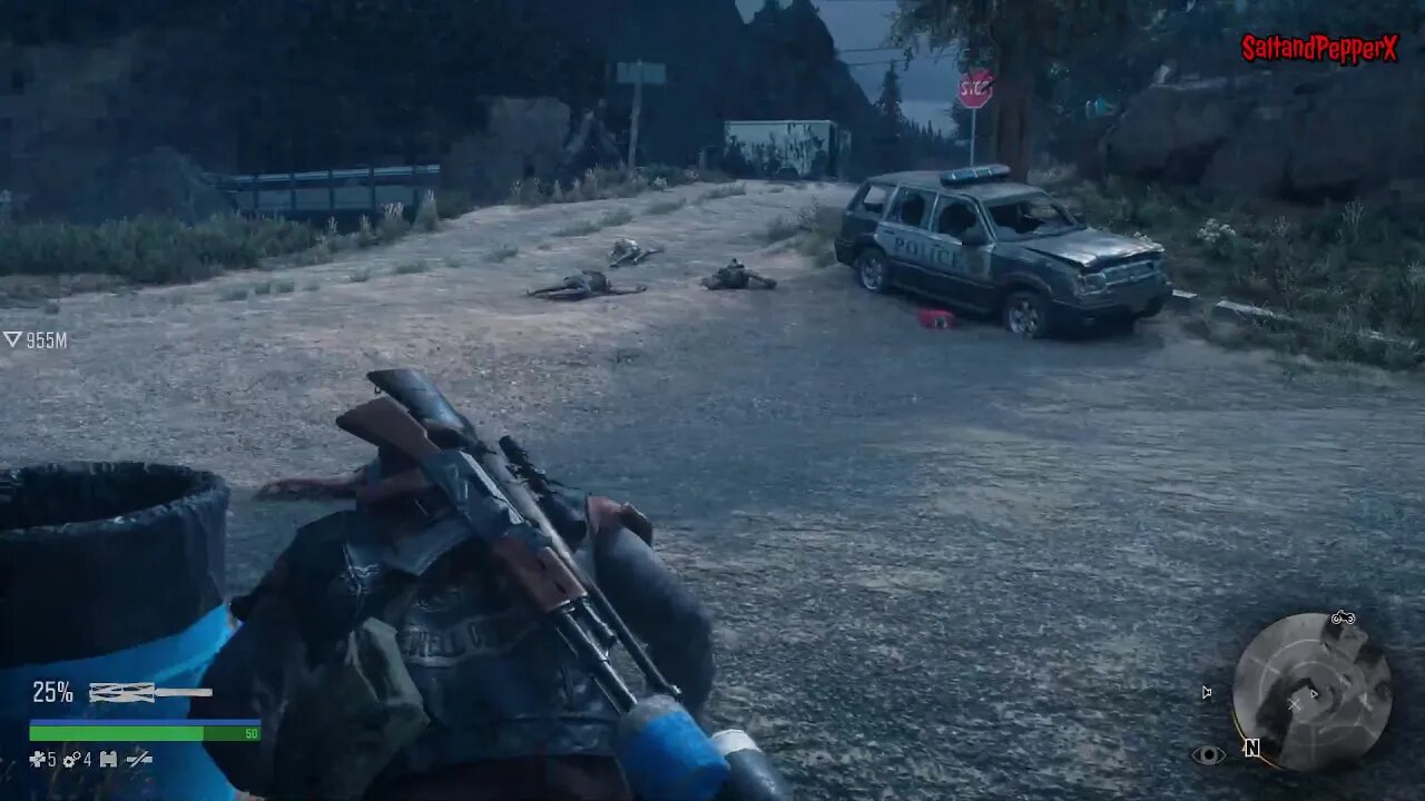 Days Gone - I'm not great at this game lmao
