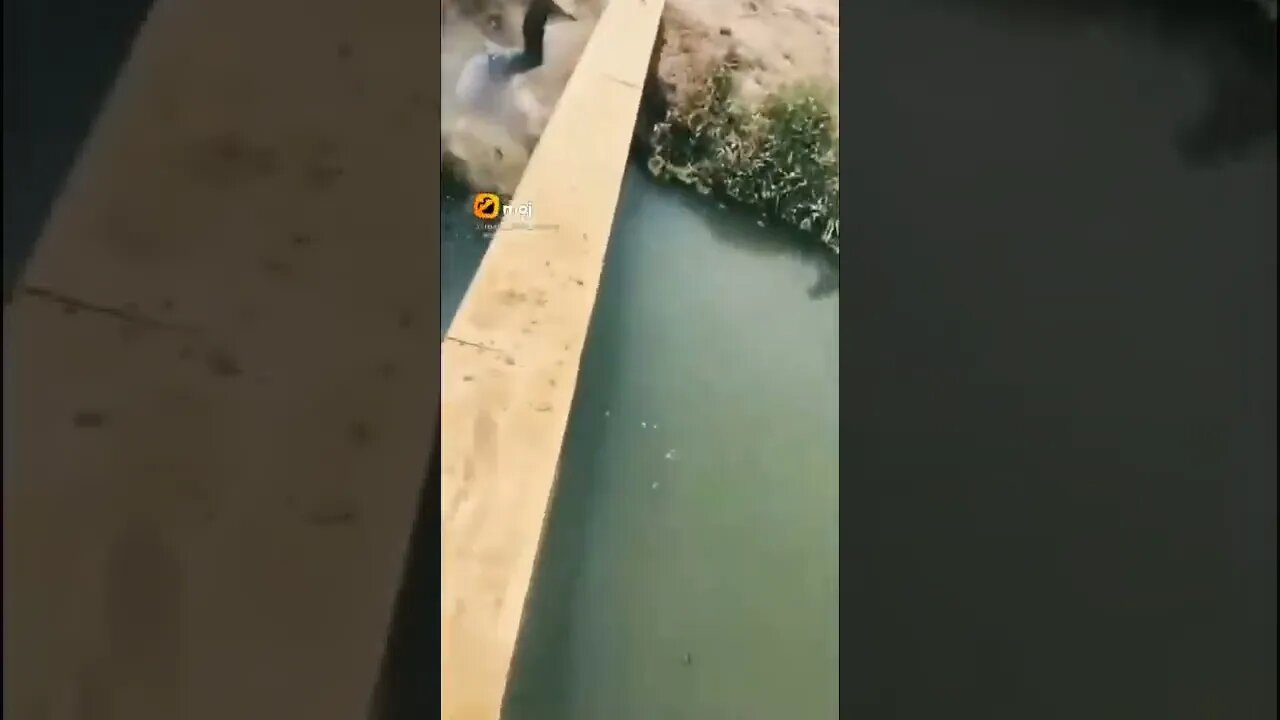 படா பேஜார்