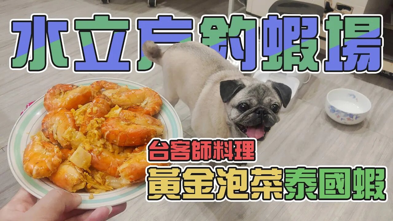 【台客去釣蝦】手感不佳頻頻打不到蝦，還好還釣有1斤可以讓我回來煮出一道黃金泡菜泰國蝦料理！feat.水立方釣蝦場