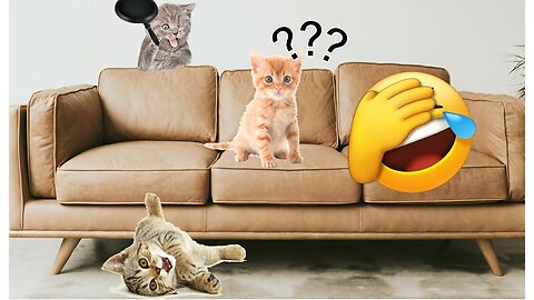 "5 Minutes of Feline Funnies: Hilarious Cat Compilation"