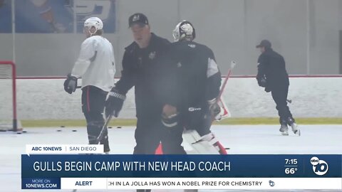 Gulls begin training camp in Poway, and have a new head coach for the 2022/23 season