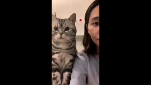 cute pet animals cute bond with human 💘🤩