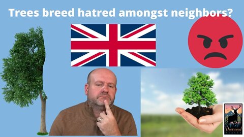 Are Trees Designed to Make Neighbors Hate Each other? … Deerwood Realty and Friends…Ep. 26