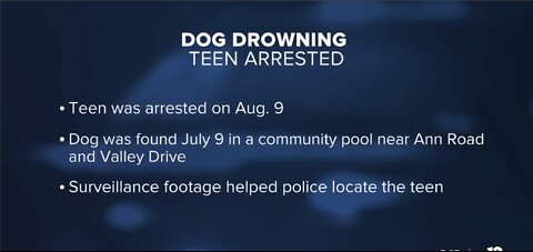 North Las Vegas police charge teen with animal cruelty in dog drowning