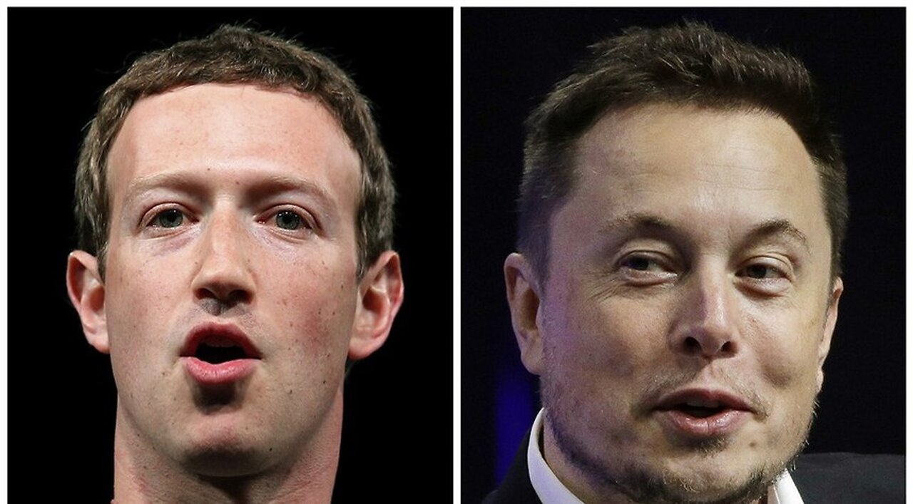 Elon Drops Details About Training, Fight With Zuckerberg Including Where It Will Be Live Streamed