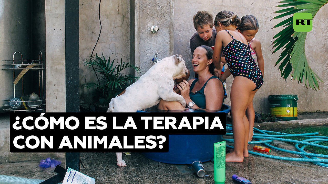 Terapias con animales, para curarse con amor