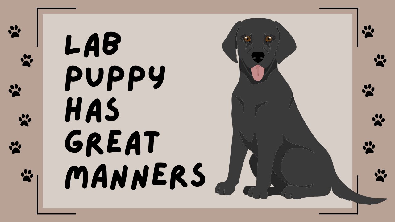 Lab Puppy Has Great Door Manners! Puppy Training Basics