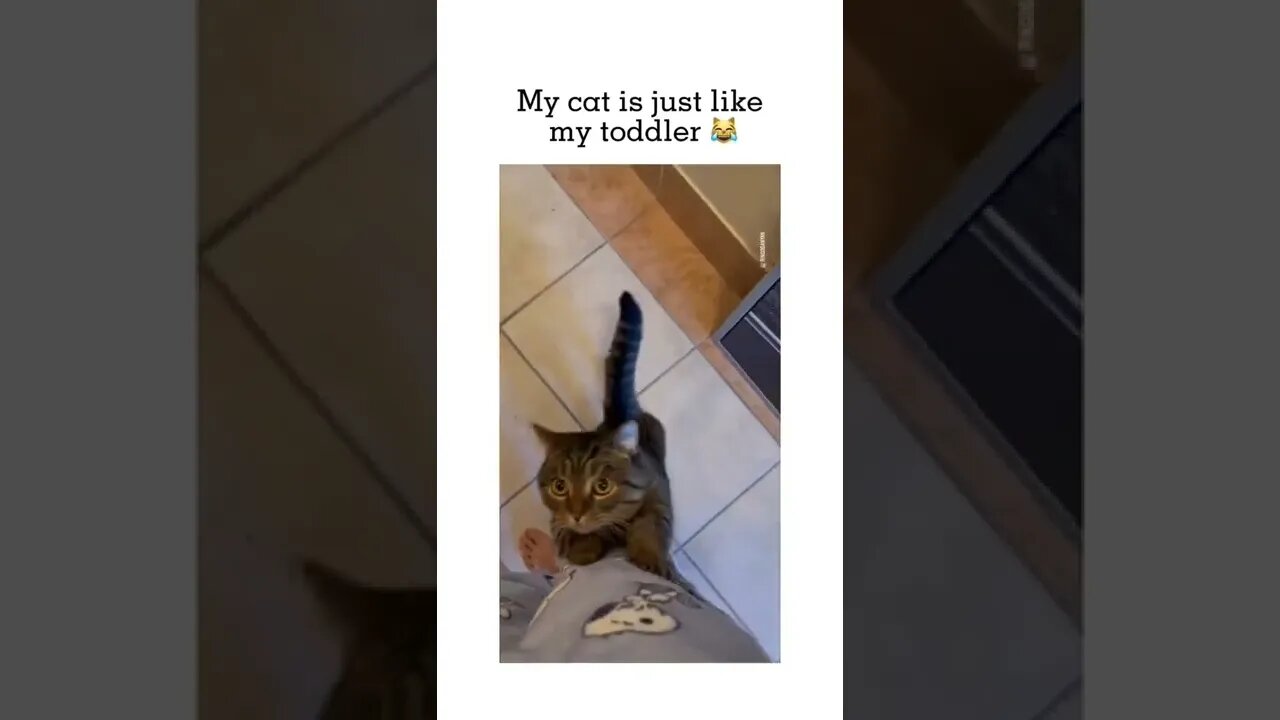 💕😘