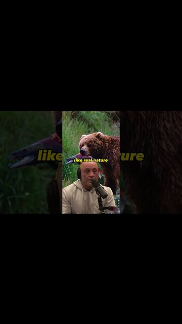 Bear Encounter: The Therapeutic Power and Vulnerability | Joe Rogan ft. Michio Kaku #1980