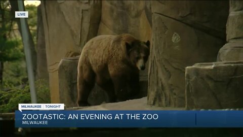 Zootastic event at Milwaukee zoo raises money for Zoological Society