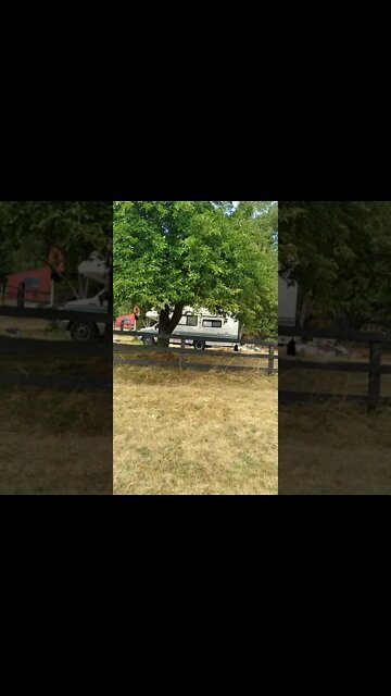 Boeing Classic 2021-!-