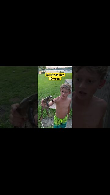 Big Frog ! #puremichigan #frogs #froggy