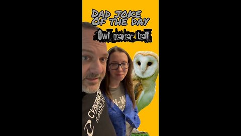 Who do you think it is?! Owl Never tell - Dad joke of the day