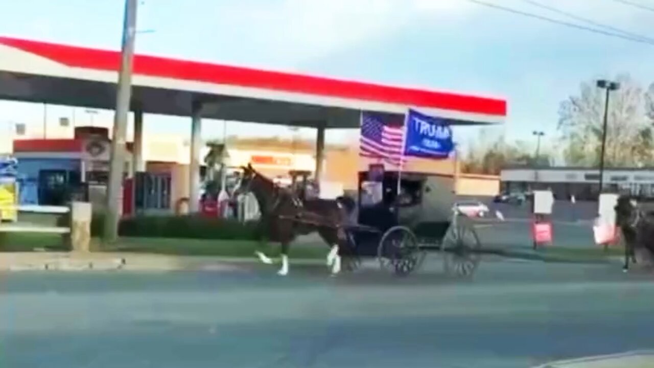 Even The Amish Love Trump!!! How Do You Like This Trump Train??? #trump2024 #trump #maga #trumptrain