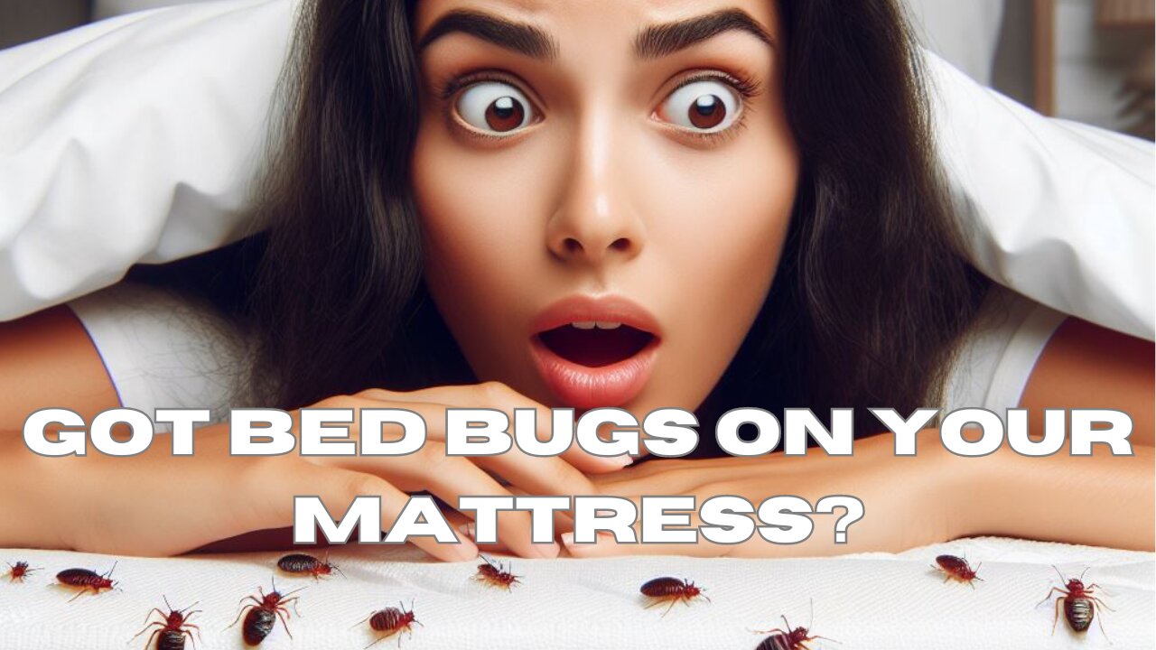 Bed Bugs On Mattress Home Remedies