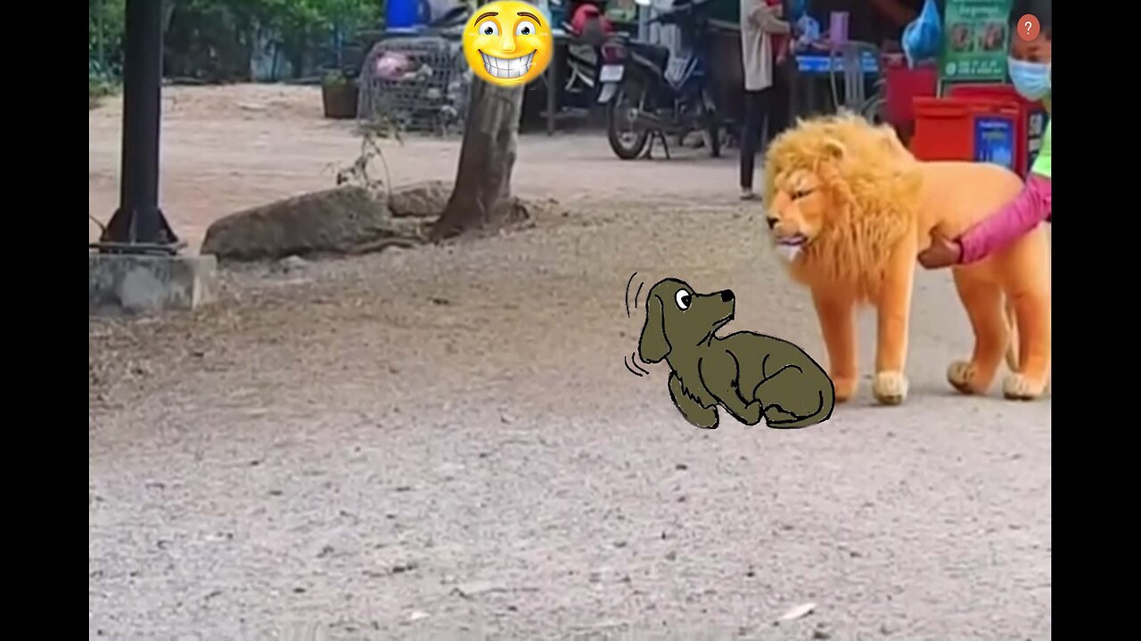 Dog's caught on camera funny moments l My first video