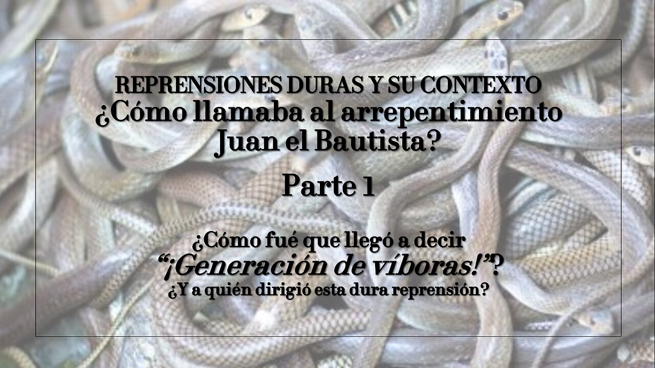 REPRENSIONES DURAS Y SU CONTEXTO (Parte 7): "¡Generación de víboras!" - Parte 1