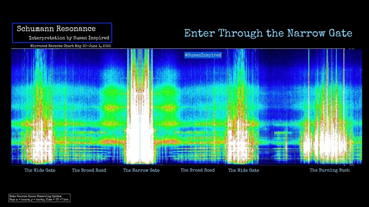 Schumann Resonance ENTER the Narrow Gate June 2