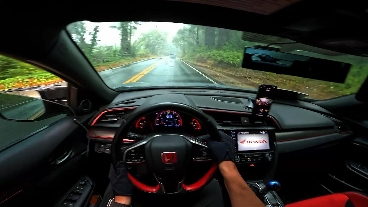 Type R - Cruising with a random Veloster N through the woods