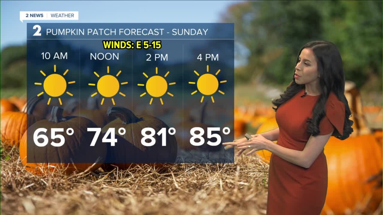 Slightly Warmer Next Few Days