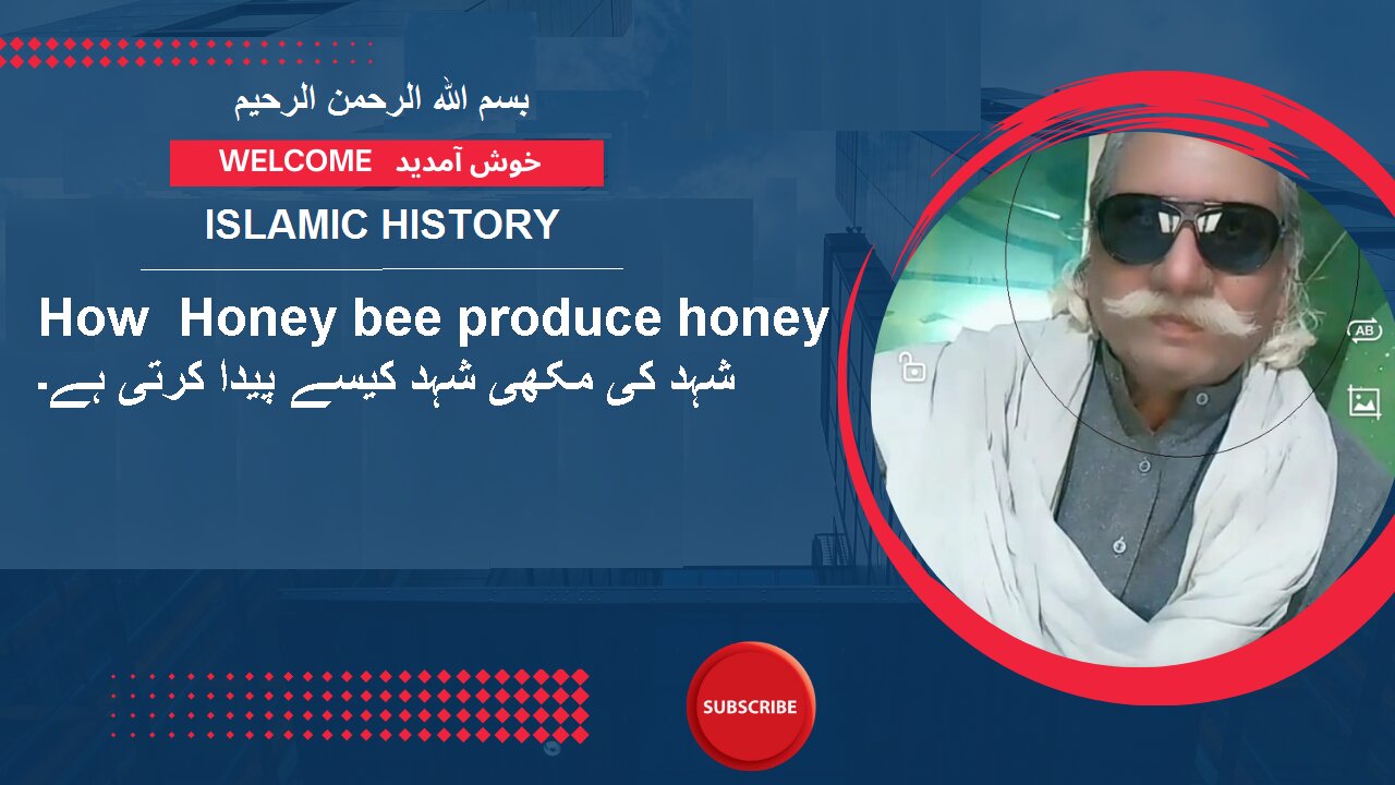 How Honey bee produce honey شہد کی مکھی شہد کیسے پیدا کرتی ہے۔