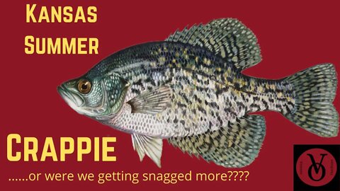 Kansas Crappie