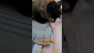 ❤️ She loves love 😻