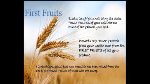 Celebrating Christ As The First Fruits of The Barley Harvest