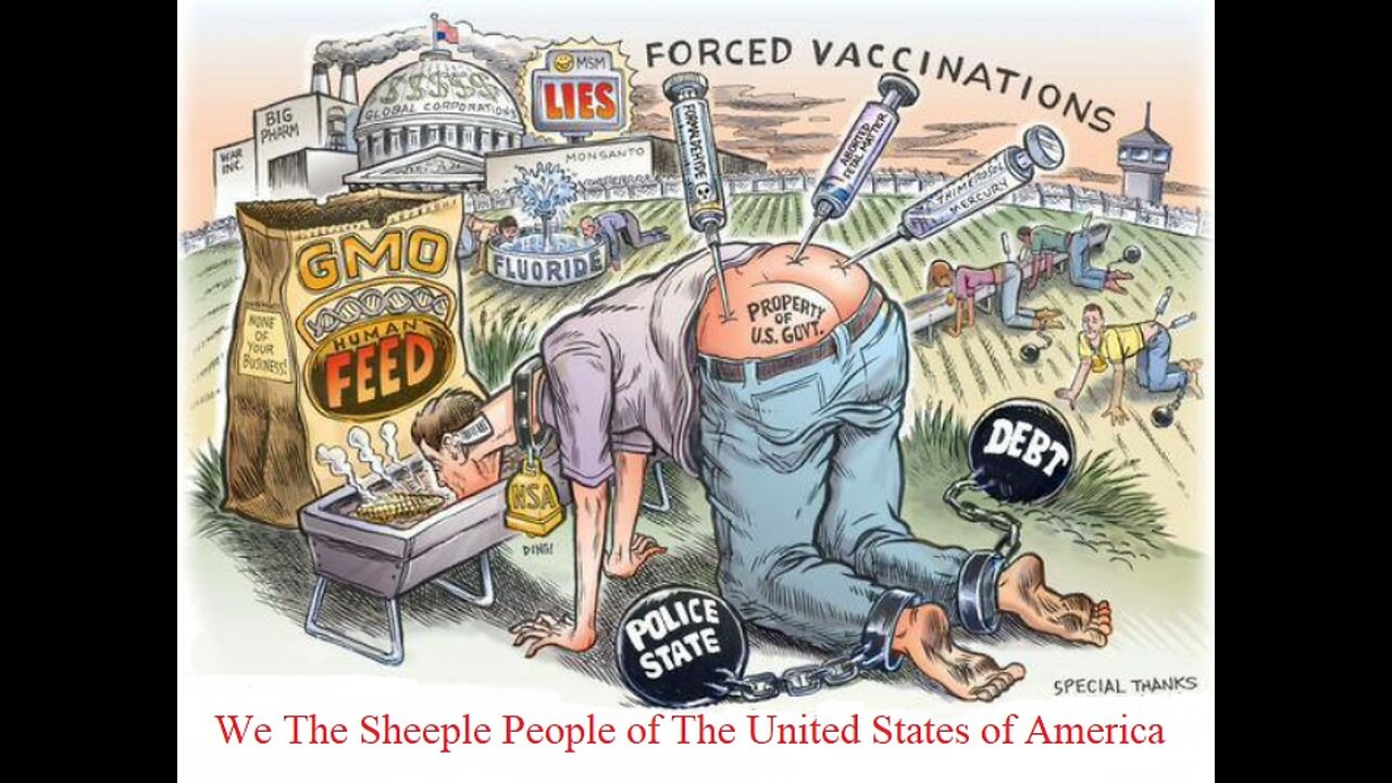 We The Sheeple People of The United States of America and A Real Bill of State Rights