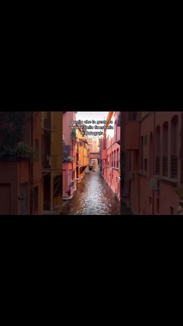 La finestra di Bologna nella realtà!