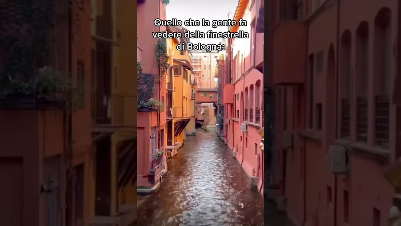 La finestra di Bologna nella realtà!