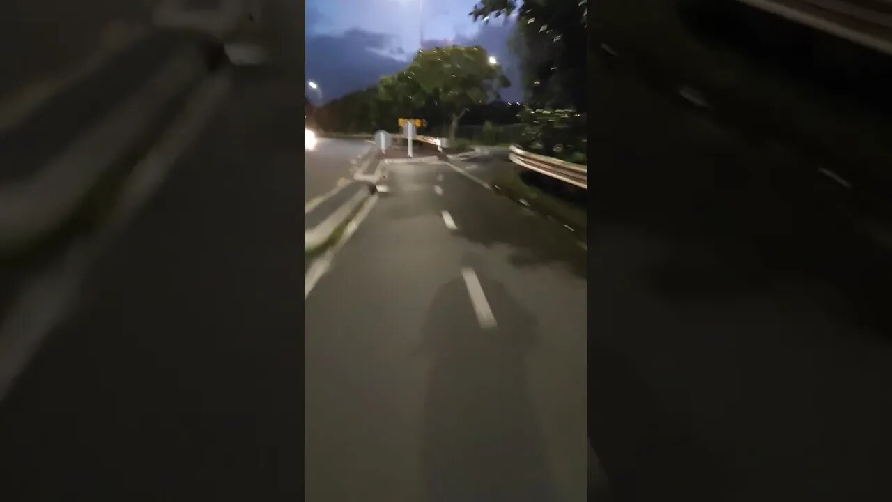 Down Dominion Road bike path