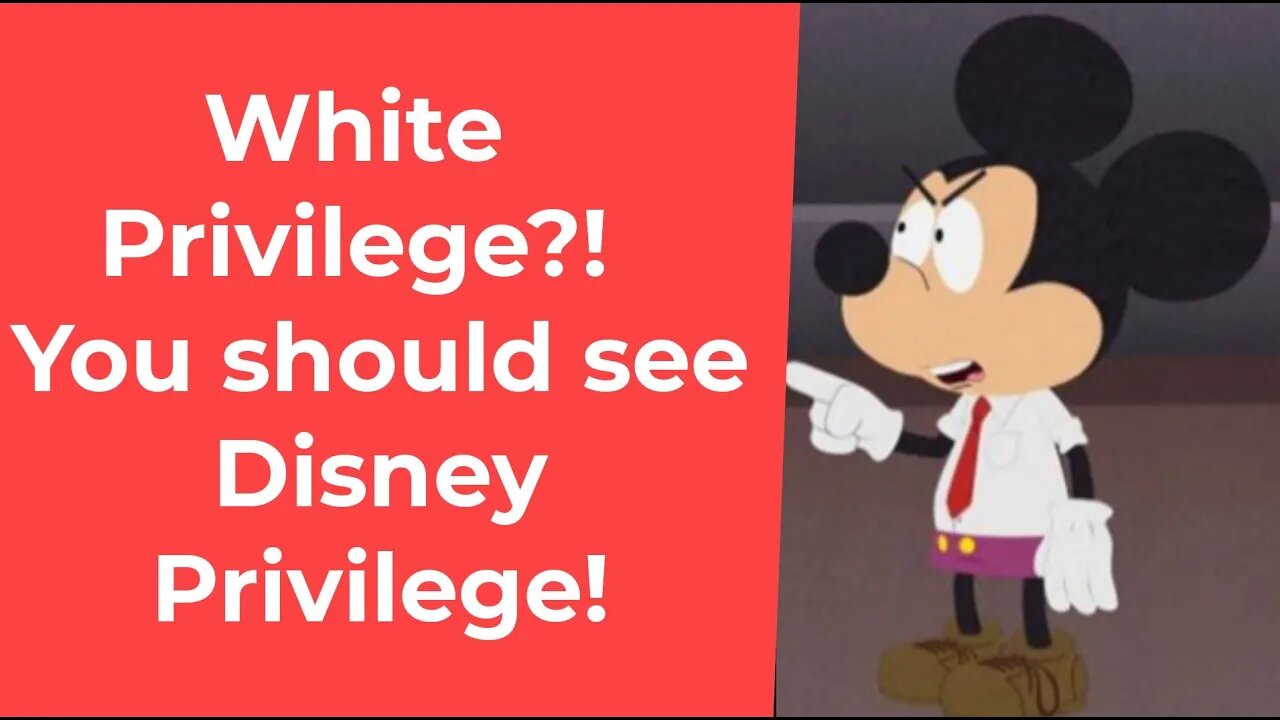 What are the privileges Disney has lost in Florida?