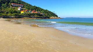 Caminhada Imersiva: Conectando-se com a natureza na Praia de Quatro Ilhas, Bombinhas