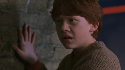 The car? | Harry Potter and The Chamber of Secrects