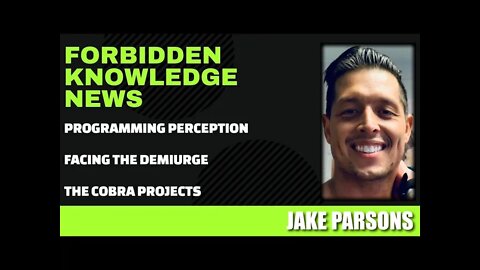 Programming Perception - Facing The Demiurge - The Cobra Projects w/ Jake Parsons(clip)