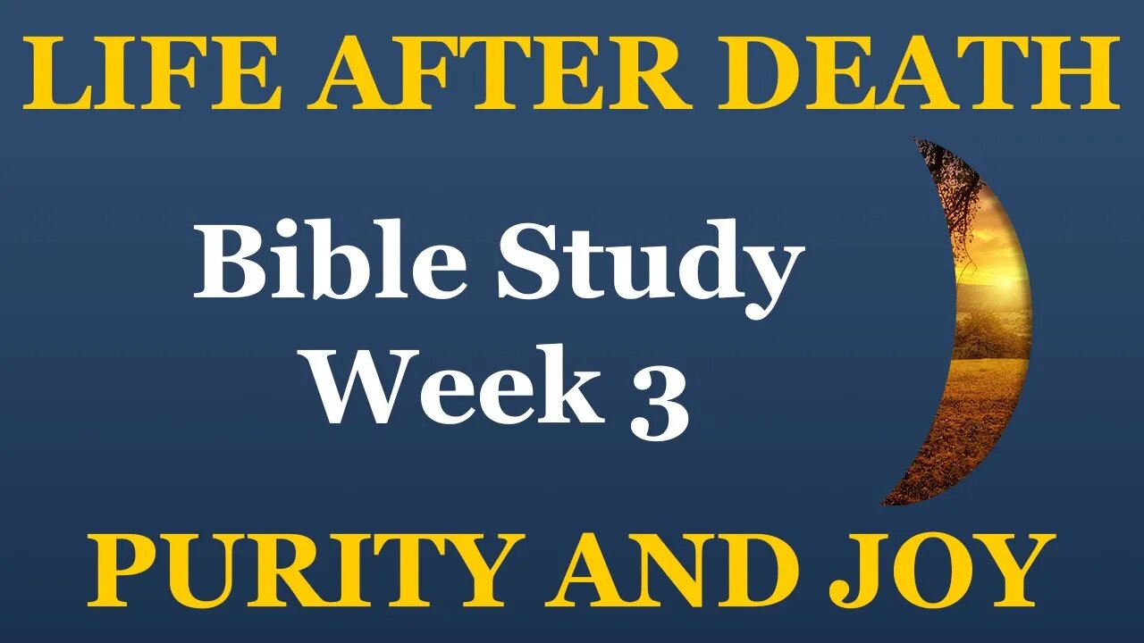 Life and Death: Purity and Joy (Week 3)