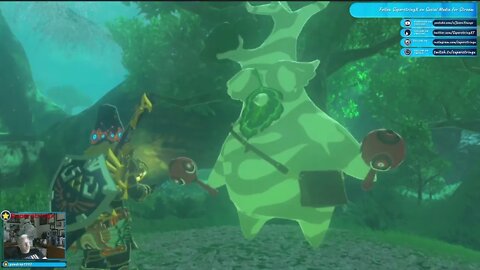 Hestu the Large Korok - Expanding My Stash July 26th, 2022