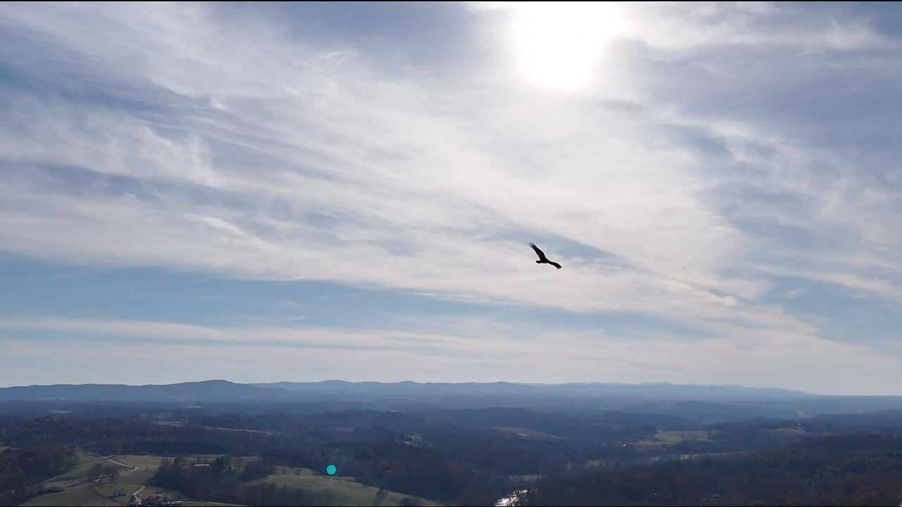 Found Dozens of my Raptor Friends!!! and got to fly with the same one from a couple days ago!!!