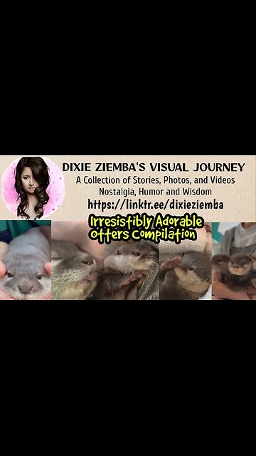 Irresistibly Adorable Otters Compilation 🦦