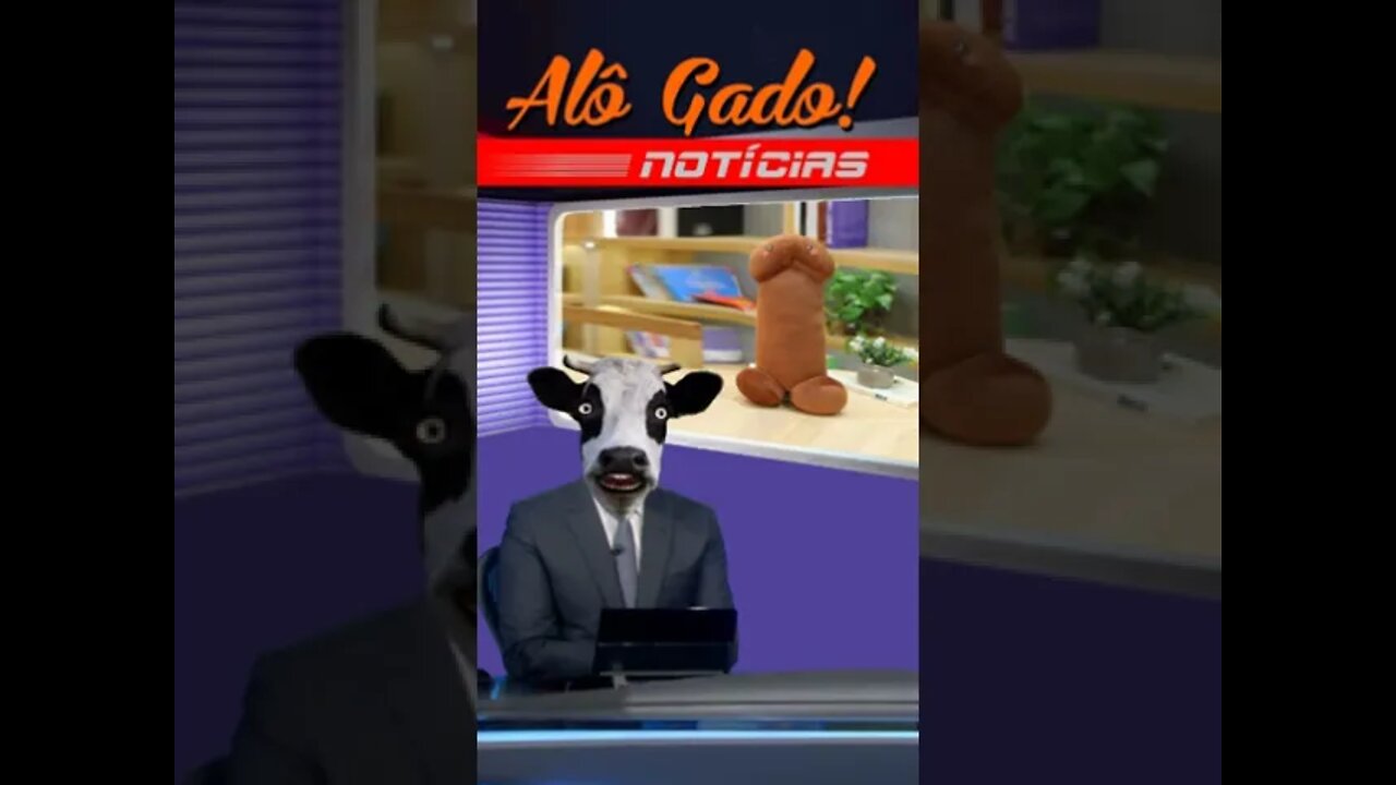 O polêmico pênis de pelúcia
