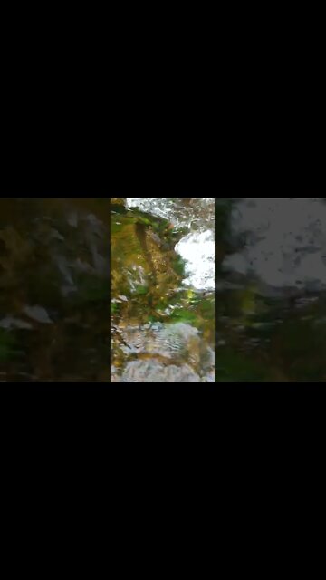 LoFi ASMR | Nature Sounds | Water