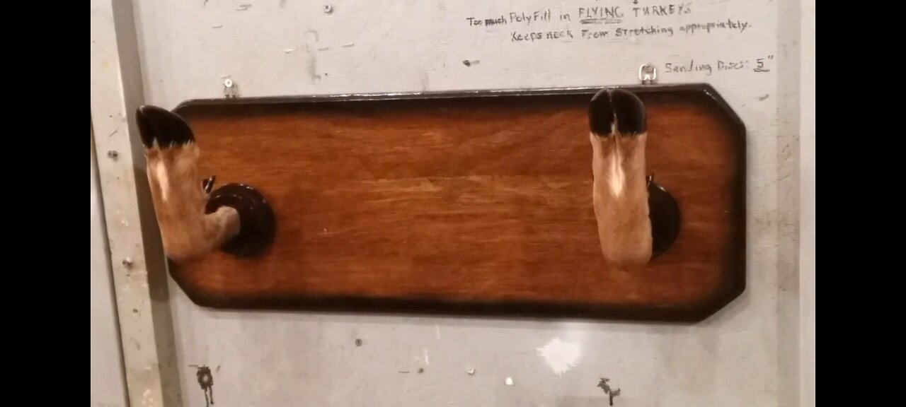 Making a Deer Feet Gunrack