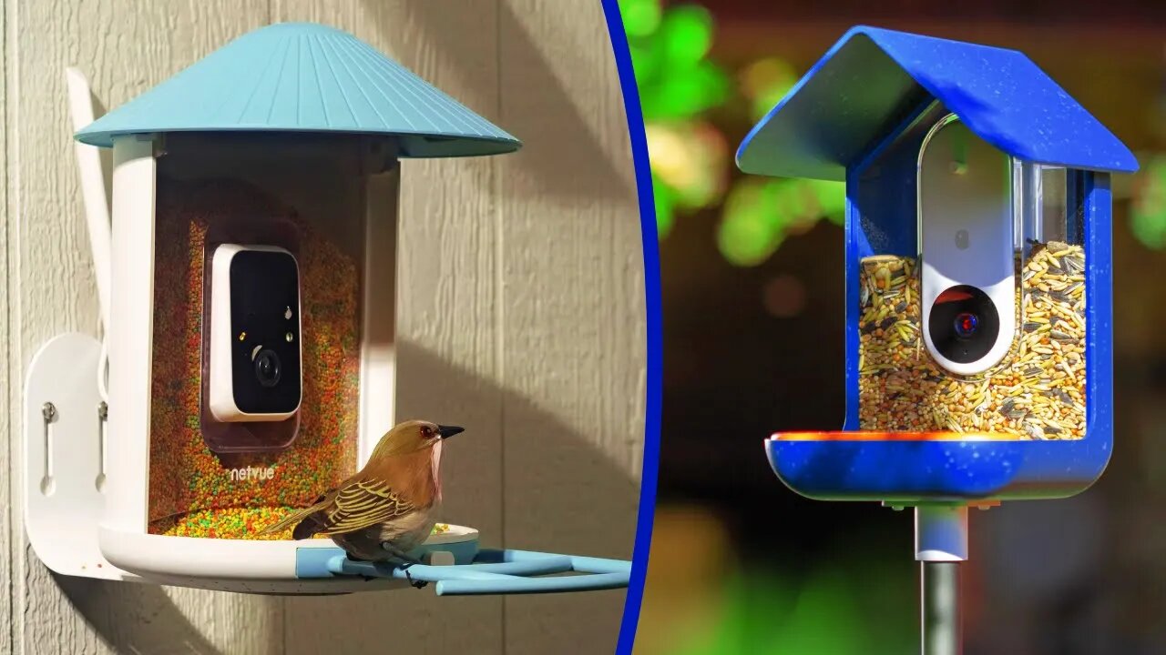 BEST BIRD FEEDER CAMERAS 2024 - THE ONLY 5 YOU SHOULD CONSIDER TODAY!