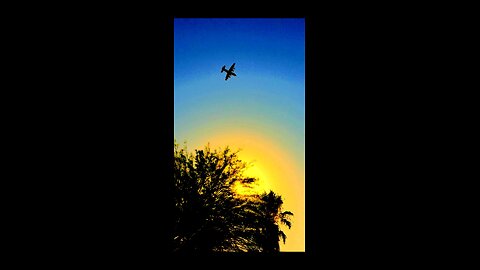 C-130 Drops Alltitude for Landing Vector