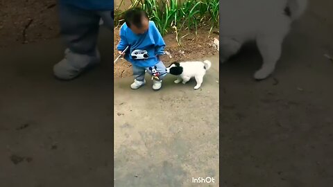 cute baby and puppy